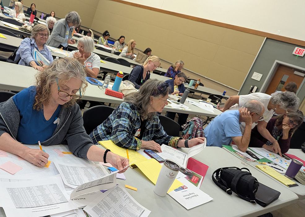 Hands-on design exercise during the pollinator workshop.