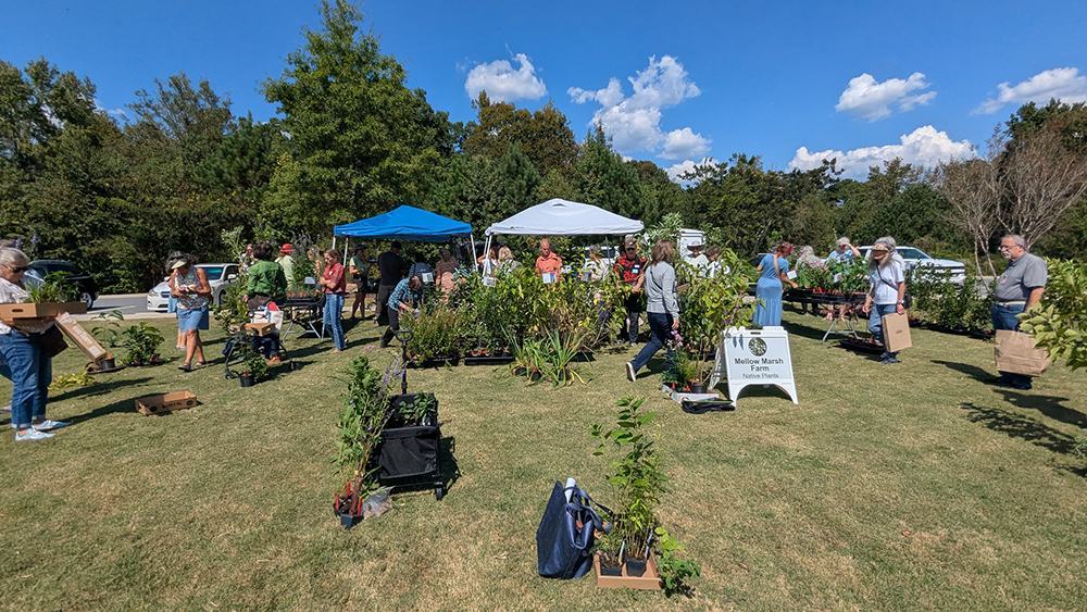 vendor with lots of plants at the Native Plant Sale