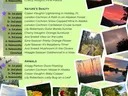2025 4-H Photography Contest Winners