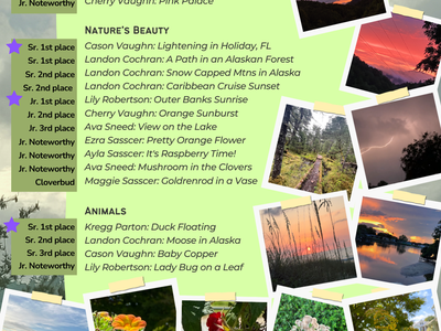 2025 4-H Photography Contest Winners