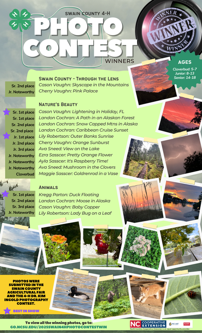 2025 4-H Photography Contest Winners