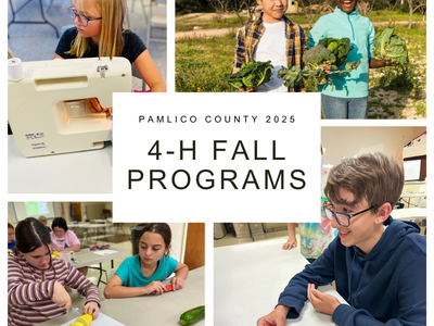 Collage of images of Pamlico County fall 4-H programs: "It's Electric", "Sew Much Fun", and "Chopped! International"