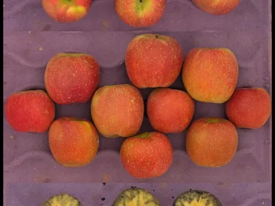 apples in crate