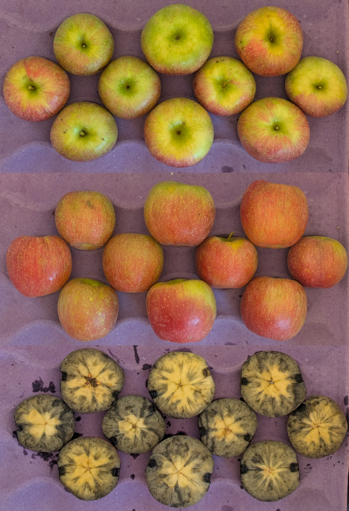 apples in crate showing starch pattern