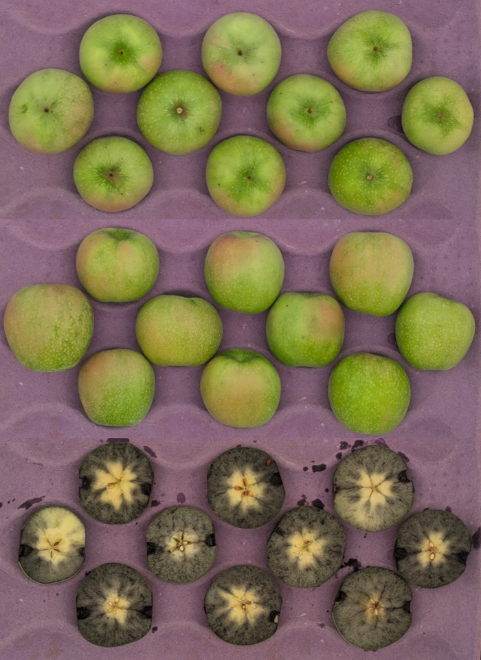 Granny Smith apples in crate