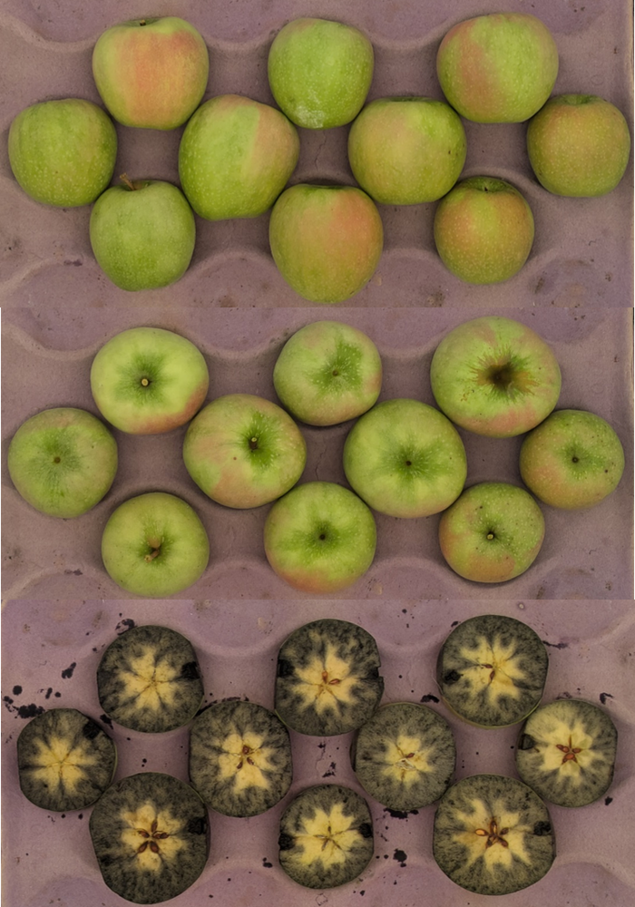 Granny Smith apples in crate