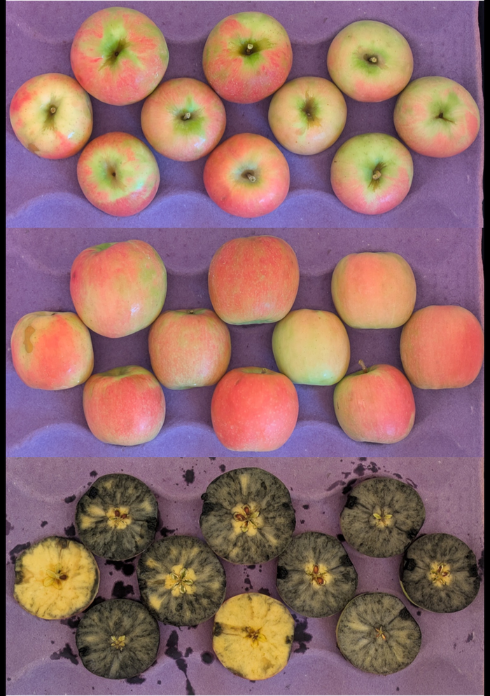 Cripps Pink apples in crate