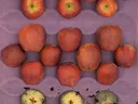 Red Delicious apples in crate