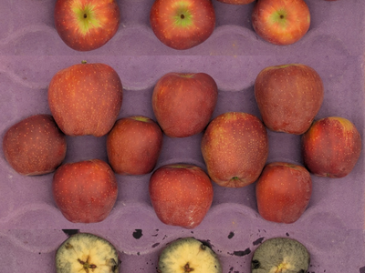 Red Delicious apples in crate