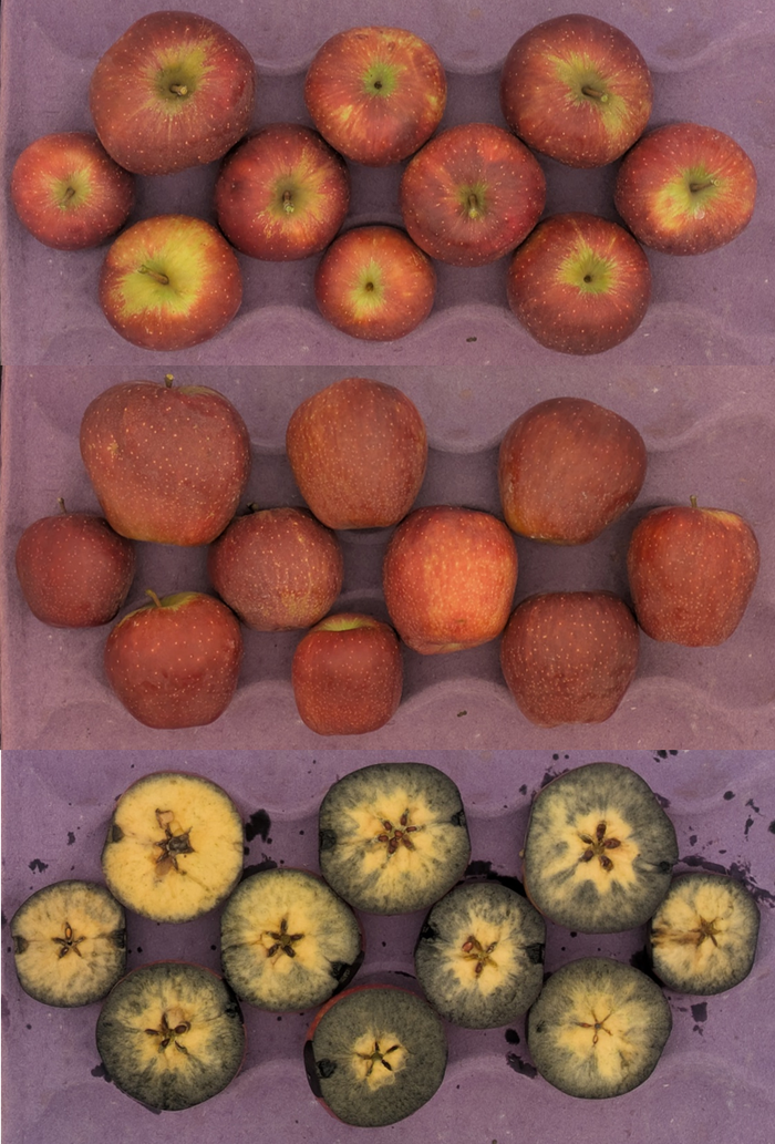 Red Delicious apples in crate