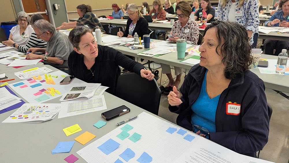 Hands-on design exercise during the pollinator workshop.