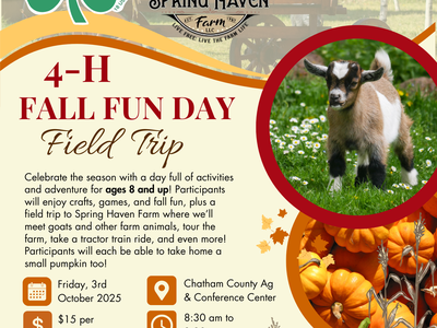 fall fun day field trip