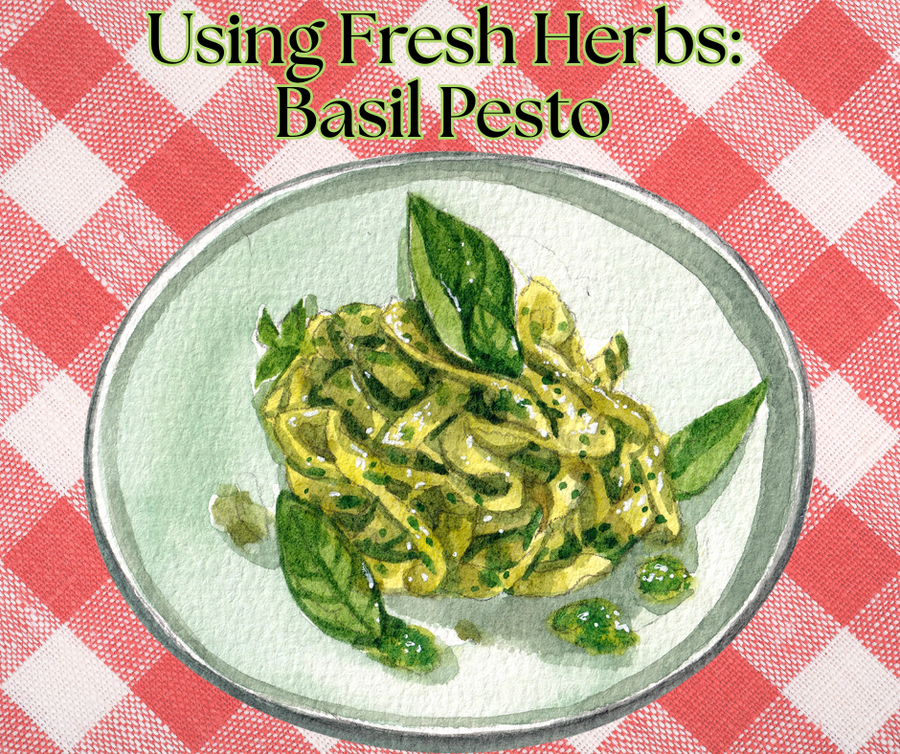 Pasta and Pesto on a plate