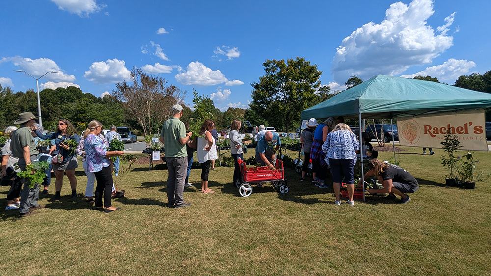 Customers line up to purchase perennials and shrubs from Rachel's Native Plants.