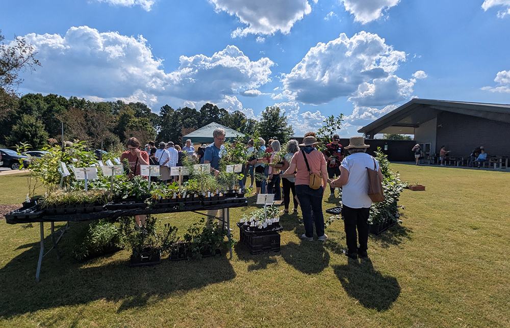Customers choosing plants from Rachel's Native Plants.