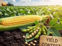 SIGN THAT SAYS YIELD CONTEST WITH AN EAR OF CORN AND SEVERAL PODS OF SOYBEANS