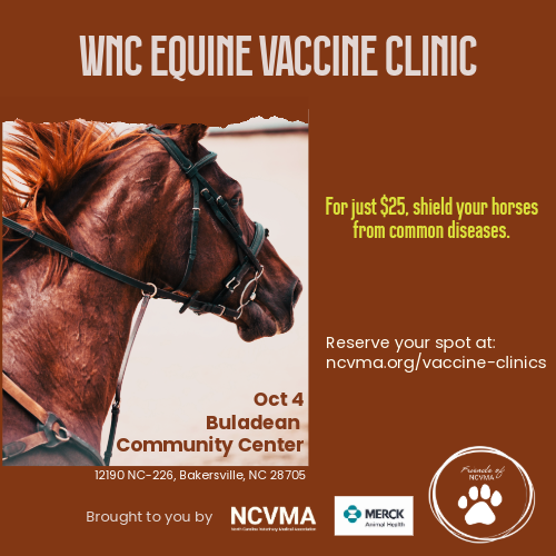 Poster for Equine Vaccination Clinic
