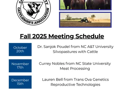 Meeting Flyer