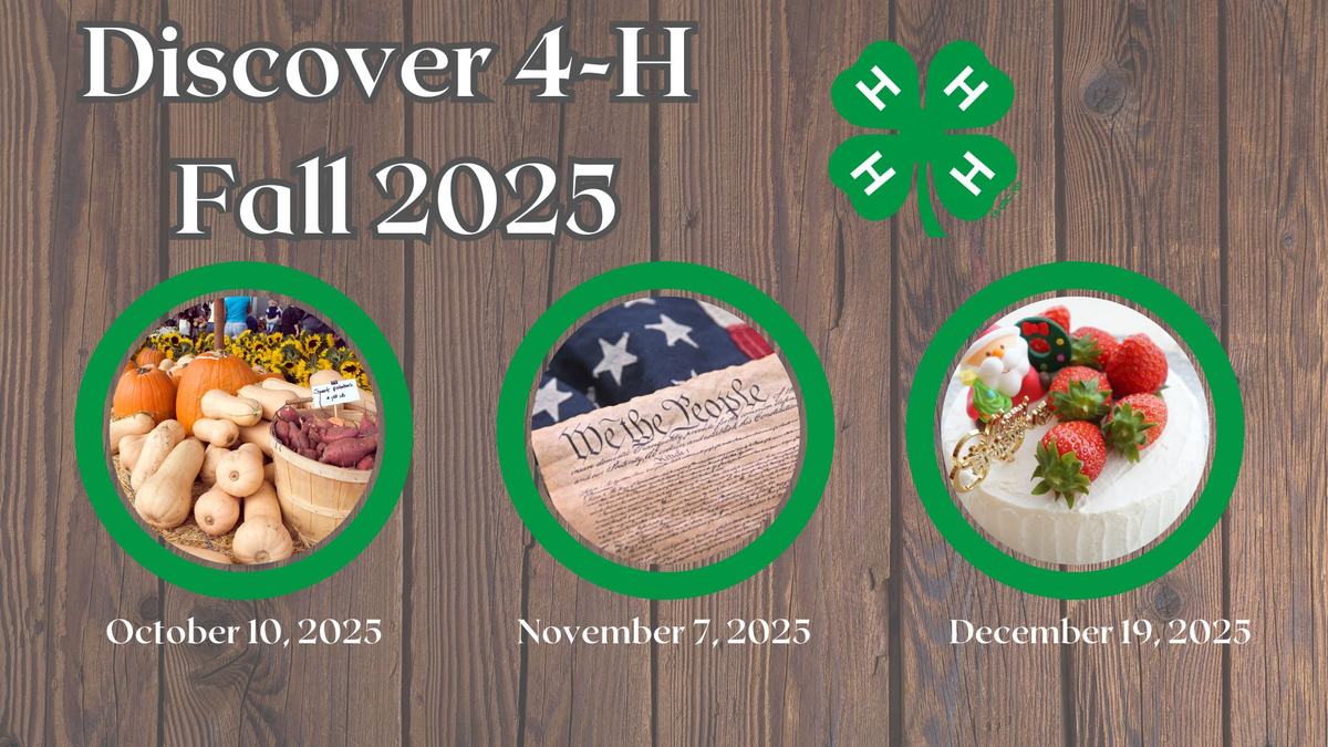 Discover 4-H Fall 2025