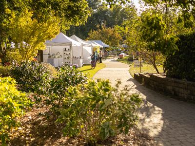 Art in the Arboretum 2025