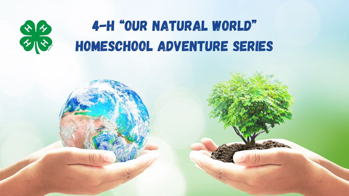 Hands holding a globe and a tree
