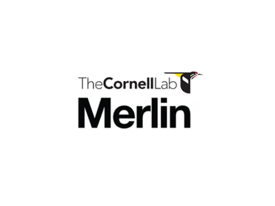 The Cornell Lab Merlin logo showing a stylized bird head and the text "TheCornellLab Merlin"
