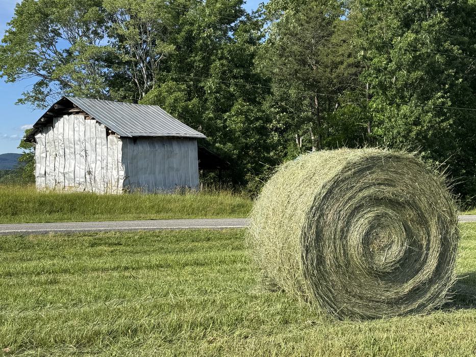 round bale of hay in front of an old tobacco barn.