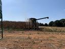 A combine harvests corn in a field.