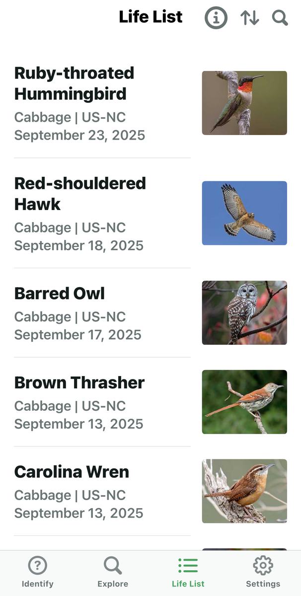 Photos of five different bird species labled by location and date.