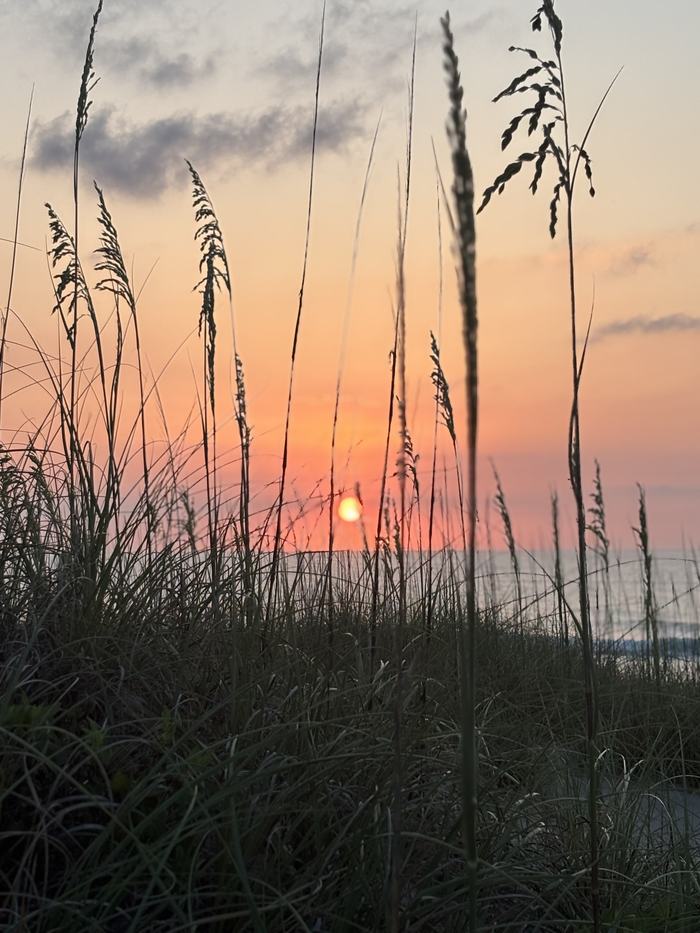 Lily Robertson Outer Banks Sunrise