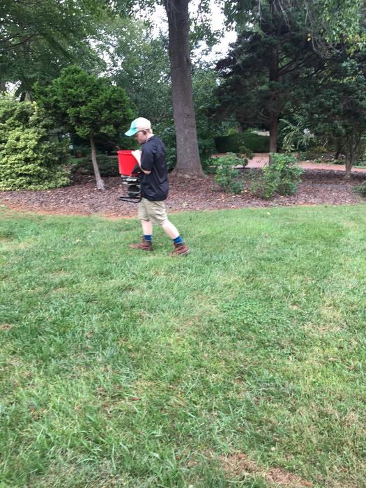 A person walking across a lawn with a seed spreader on their chest.