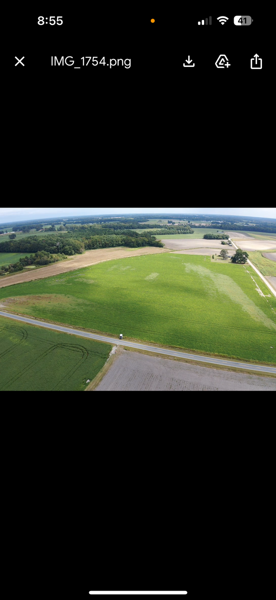 Drone view of a field showing some yellowing.
