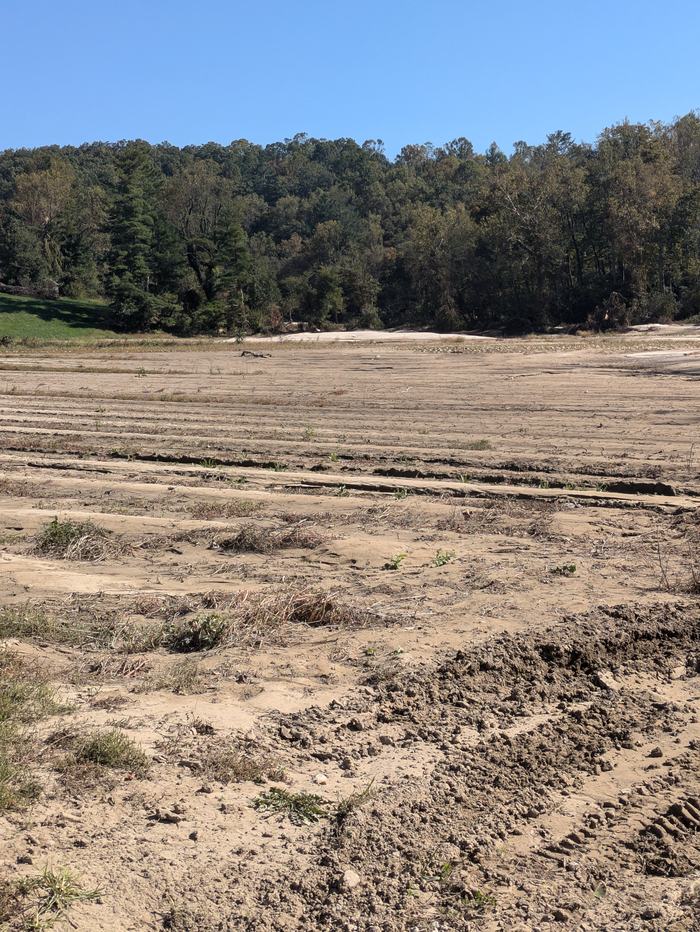 Erosion and sediment damage across a field with visible tire tracks in the foreground, backed by a line of trees.