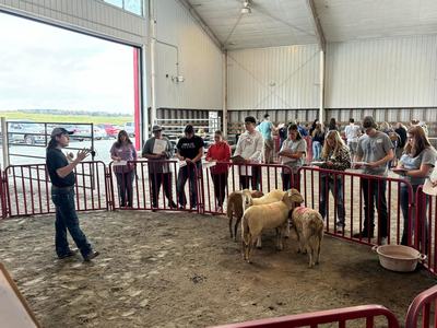 A judge teaches youths how to judge livestock in a small pen.