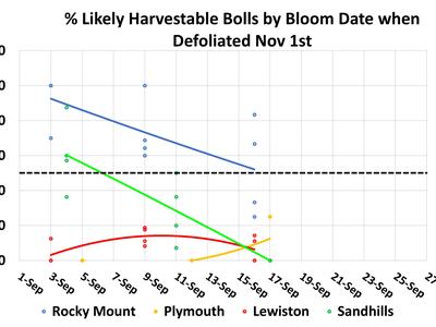 Scatter plot with trend lines showing the percentage of likely harvestable cotton bolls by bloom date across four locations when defoliated on November 1st. Rocky Mount maintains the highest harvestable percentage through mid-September, while Sandhills, L