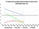 Scatter plot with trend lines showing the percentage of likely harvestable cotton bolls by bloom date across four locations when defoliated on November 1st. Rocky Mount maintains the highest harvestable percentage through mid-September, while Sandhills, L
