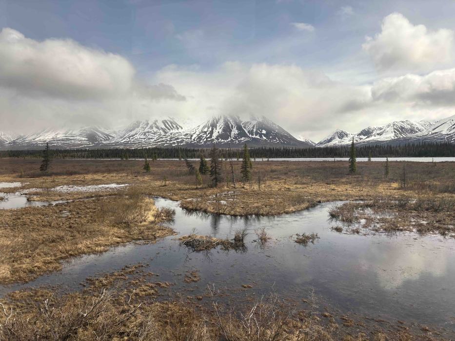 Landon Cochran Snow Capped Mtns in Alaska