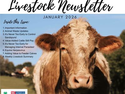 6 Goats standing in a field as a visual for the goat producers meeting There is also a tan cow in a field as an image for the save the date for the Johnston County Cattleman's Meeting.