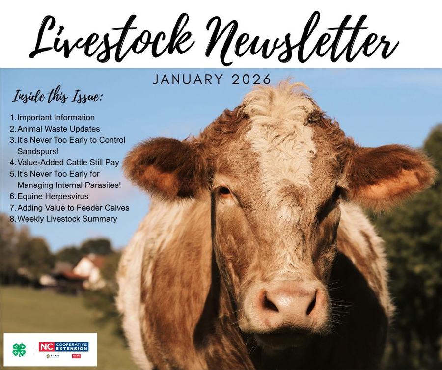 6 Goats standing in a field as a visual for the goat producers meeting There is also a tan cow in a field as an image for the save the date for the Johnston County Cattleman's Meeting. 