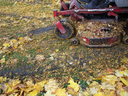 Mulching leaves in yard