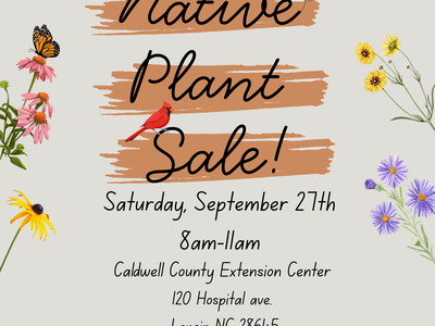 Plant sale flyer with printed text about event with flowers and birds around the border