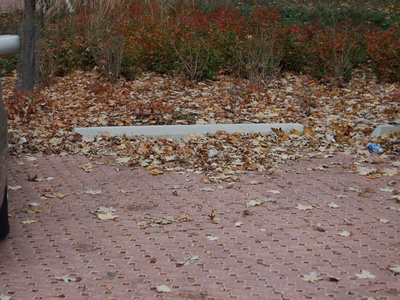 Nearby trees and landscaping create a steady source of clogging material that should be frequently removed (Photo courtesy of Bill Hunt)