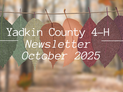 October Newsleter