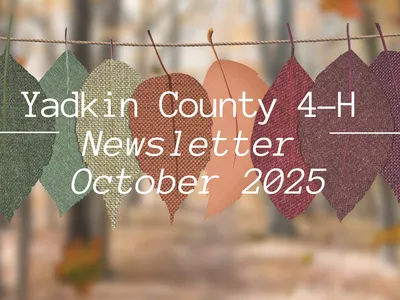 October Newsleter