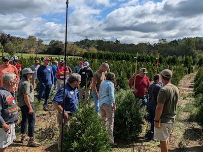 Workshop attendees in a Christmas Tree Field