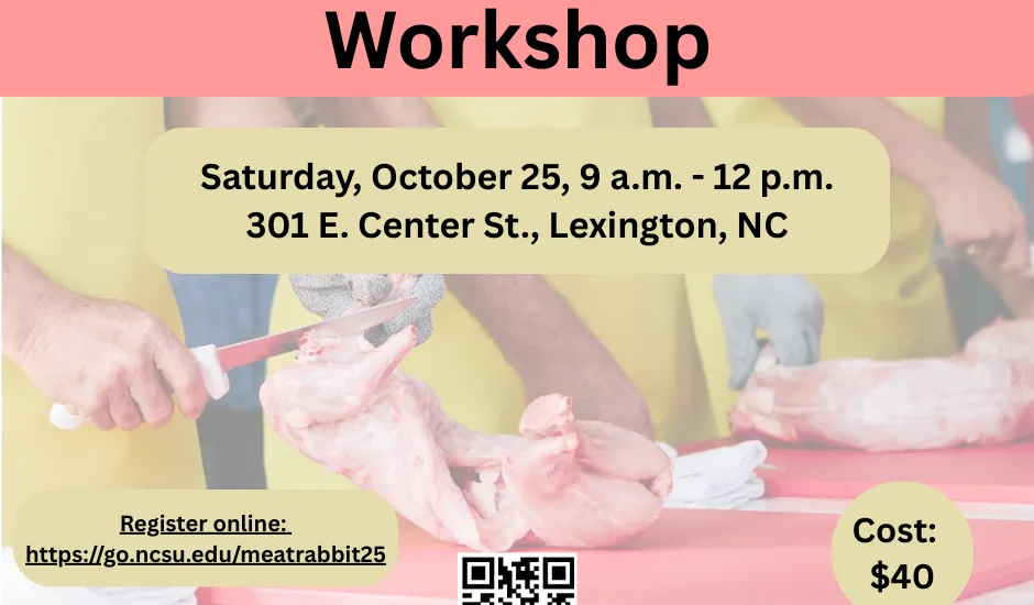 Rabbit Processing Uk Rabbit Processing Workshop - Davidson County Center | N.C. Cooperative ...