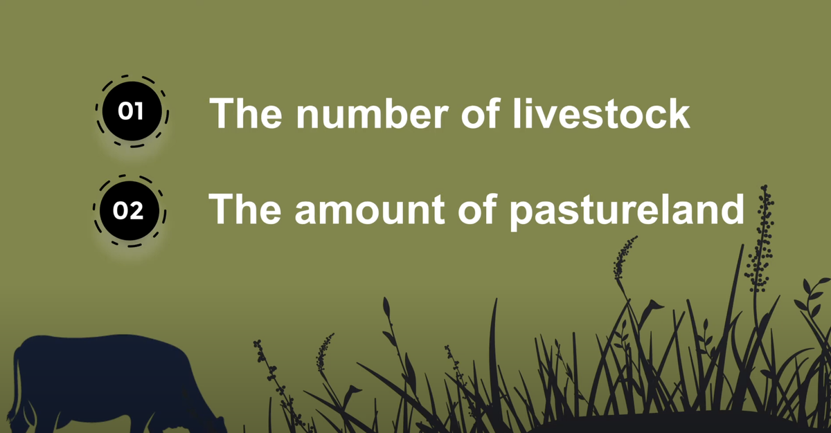 Grazing Farm Animation Video intro picture