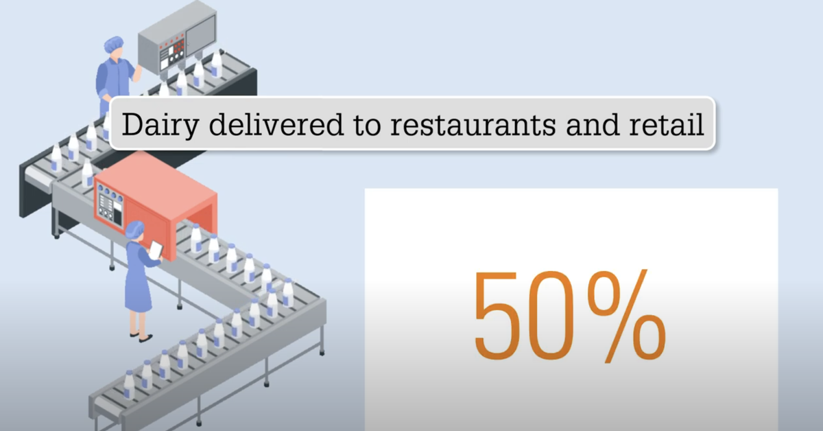 Dairy Animation Video intro picture