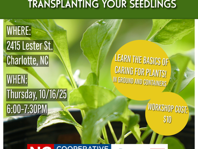  Seed Starting 102 flyer