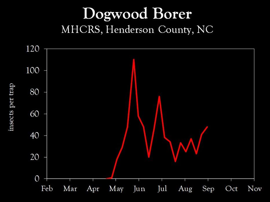 Chart showing insect population trends